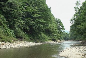 Naruse River