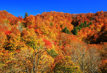 Fall colors at Mount Kurikoma